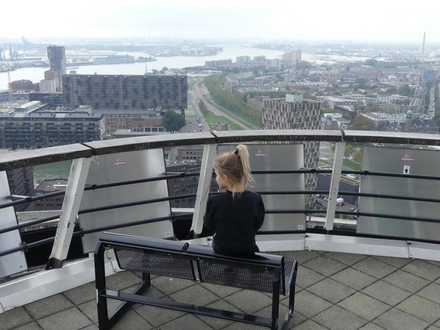 Crítica da Euromast
