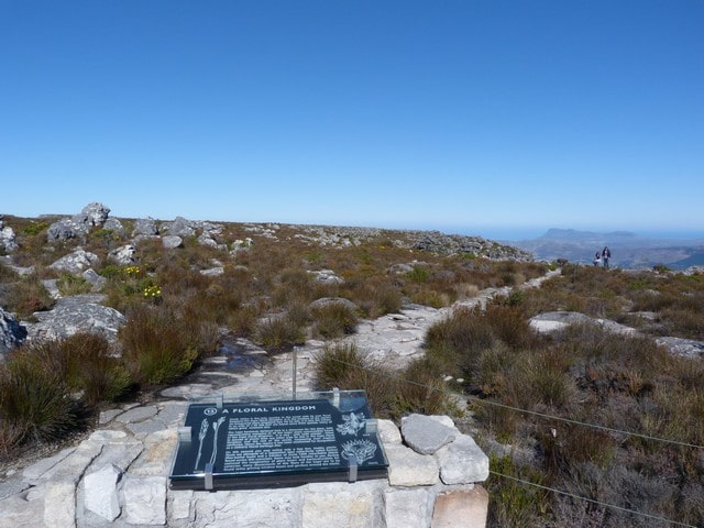 Cape Town med barn