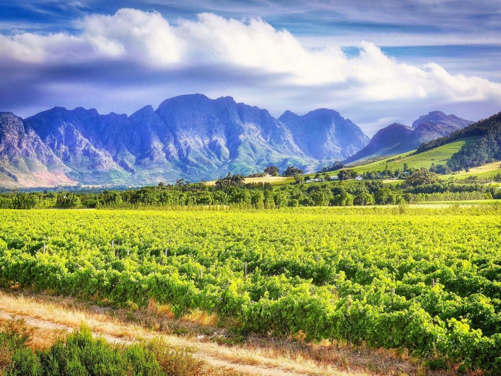 Stellenbosch med barn