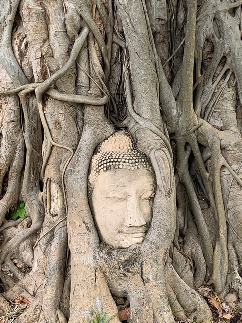 Aktiviteter for barn i Ayutthaya