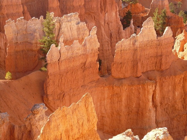 Bryce Canyon med barn