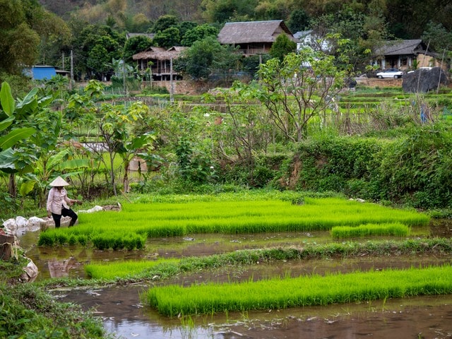 Mai Chau-distriktet med barn