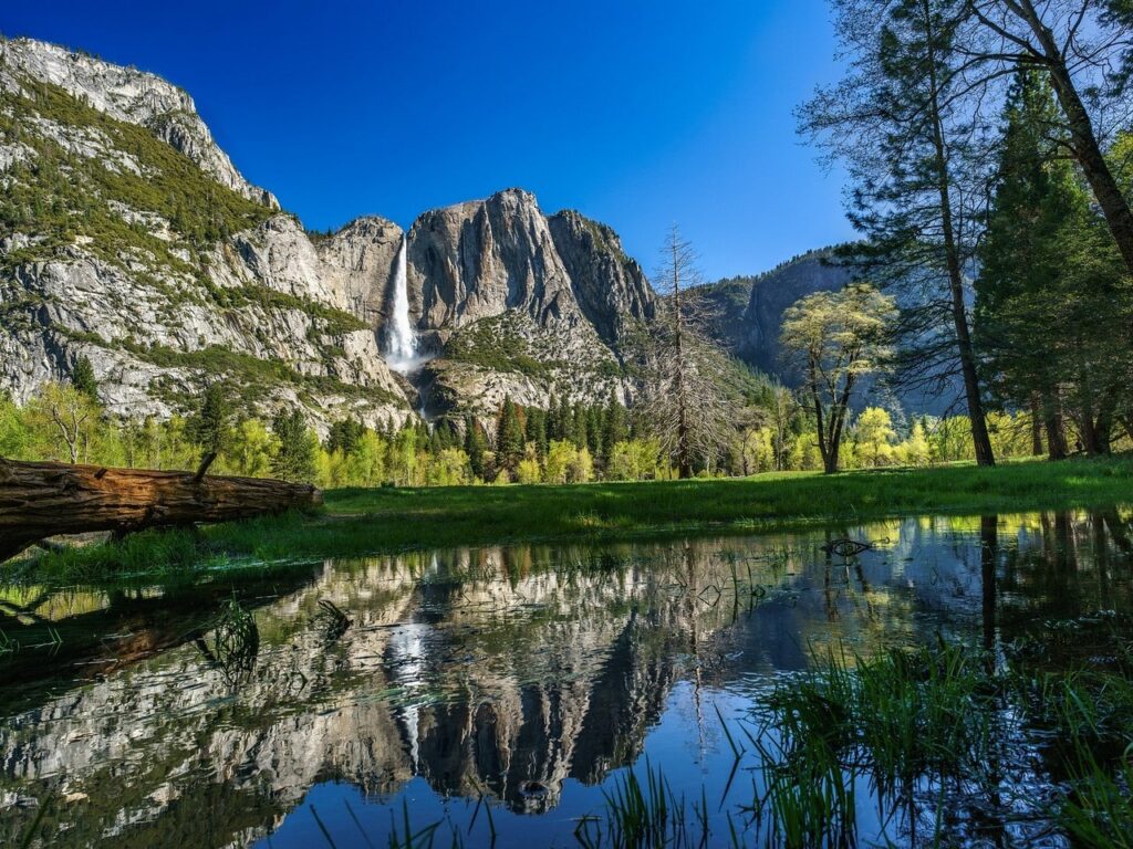 Yosemite Nationale Park met kinderen