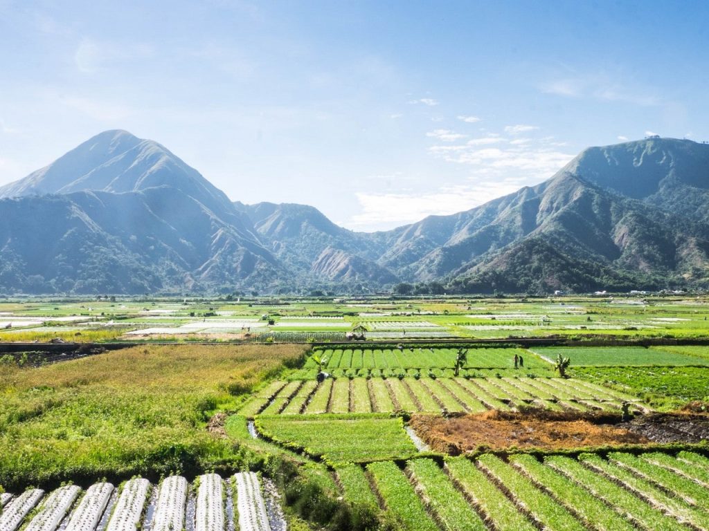 Lombok med barn