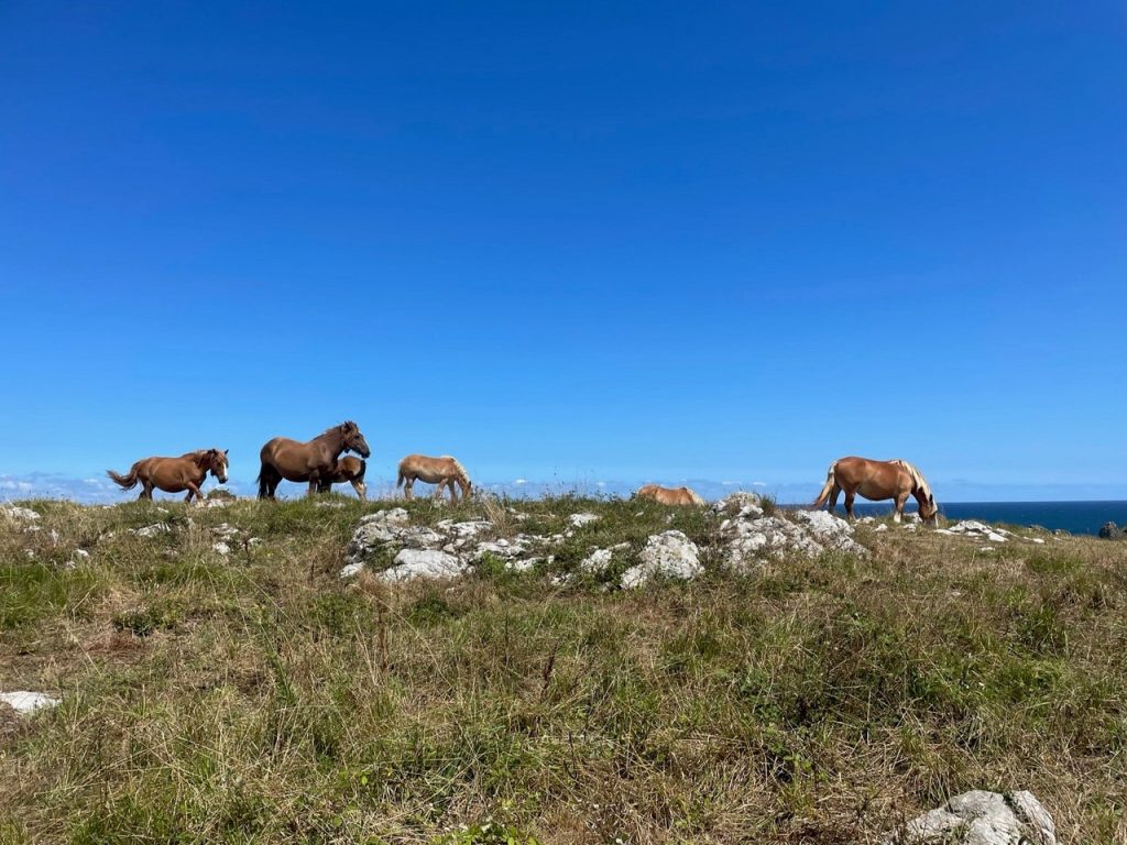 Westkust Spanje met kinderen