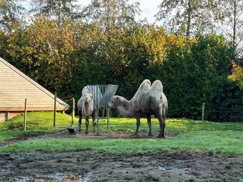 Friesland met kinderen