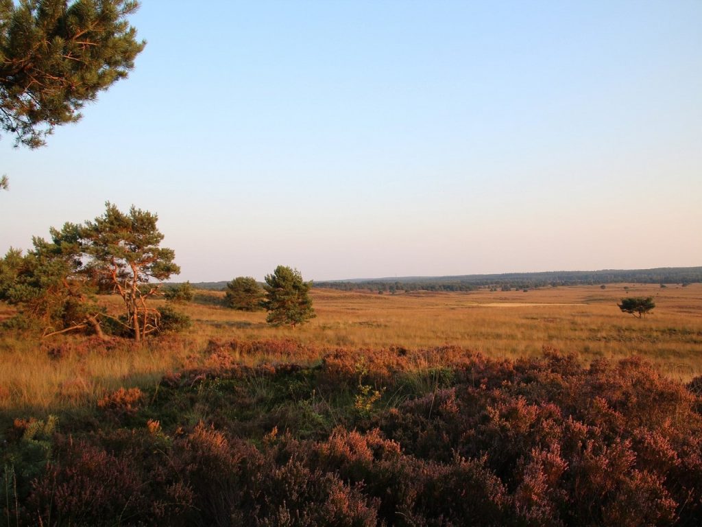 Veluwe met kinderen