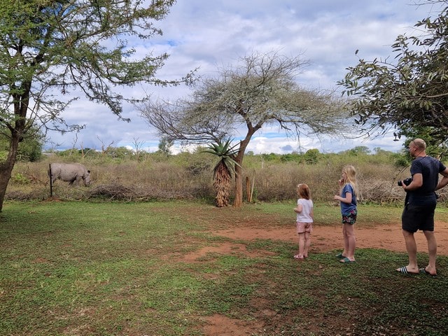 En safari au Swaziland