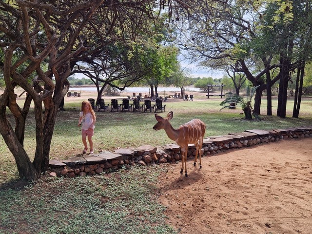 Ndlovu Camp avec des enfants