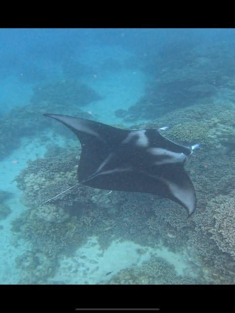 Wat te doen op Bora Bora met het gezin